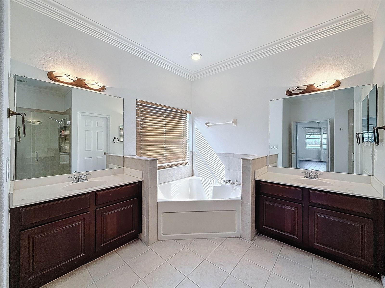 6208 BRIDGEVISTA DR, LITHIA, FL, 33547