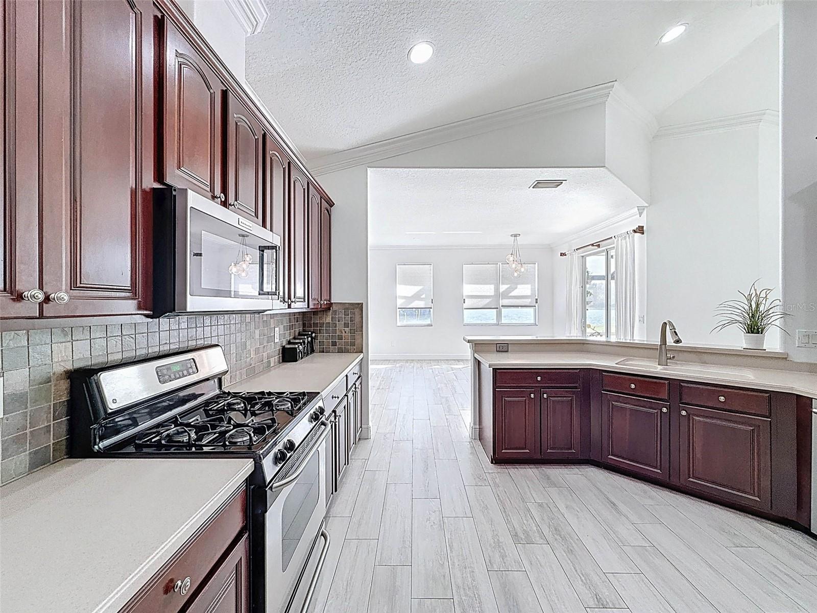 6208 BRIDGEVISTA DR, LITHIA, FL, 33547