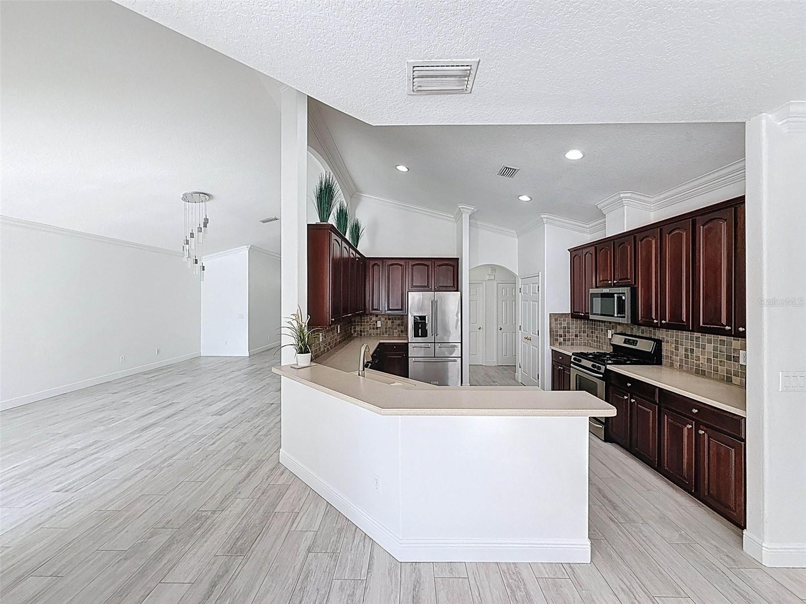 6208 BRIDGEVISTA DR, LITHIA, FL, 33547