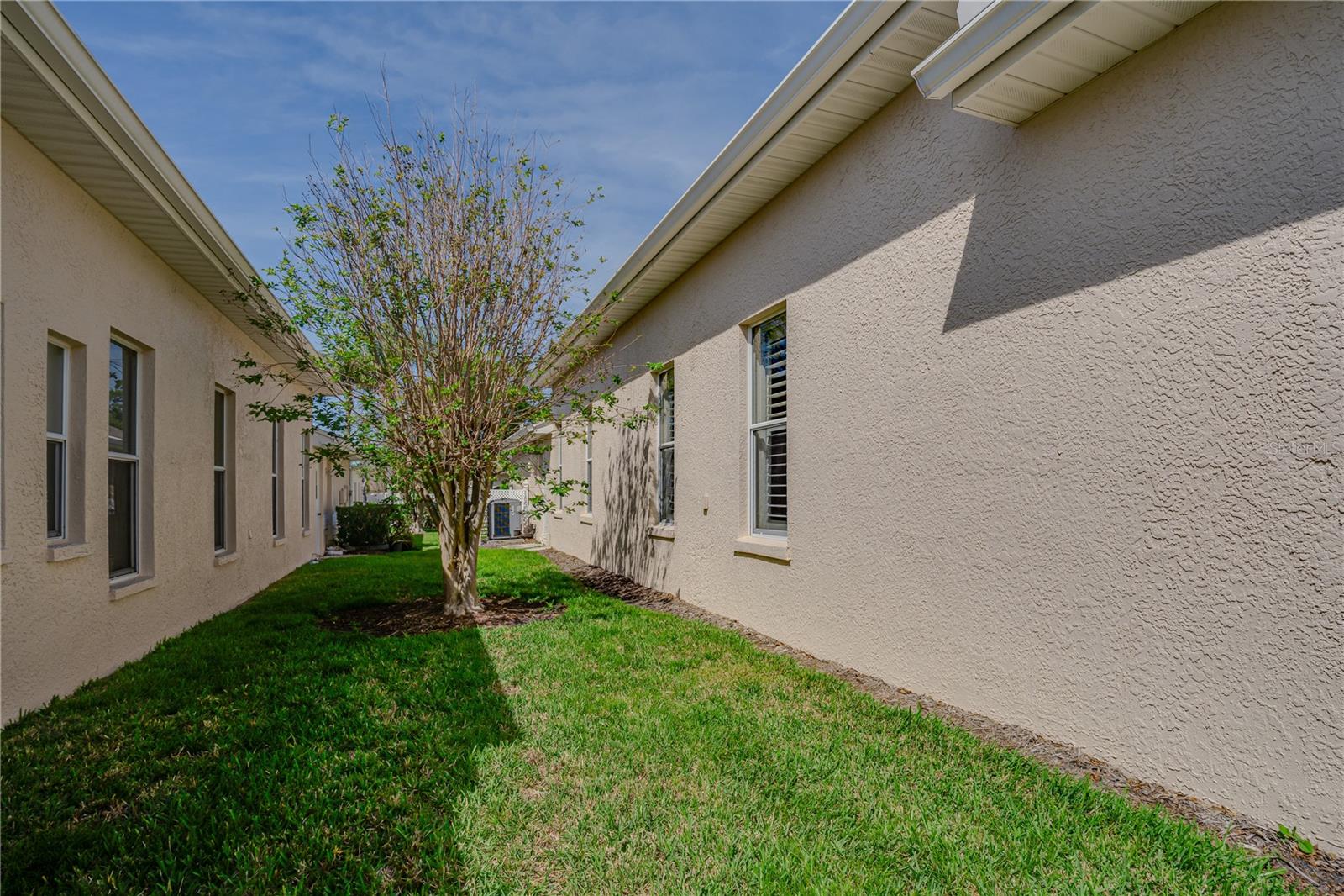 1129 HALEY LN, DUNEDIN, FL, 34698