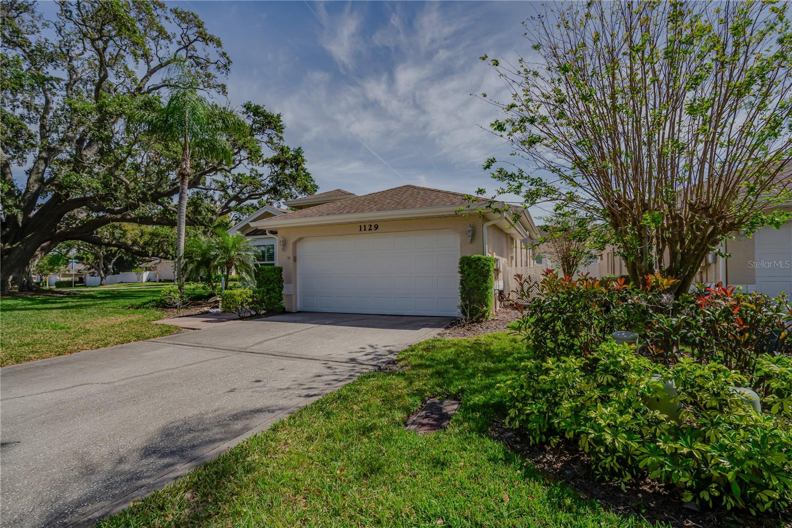 1129 HALEY LN, DUNEDIN, FL, 34698