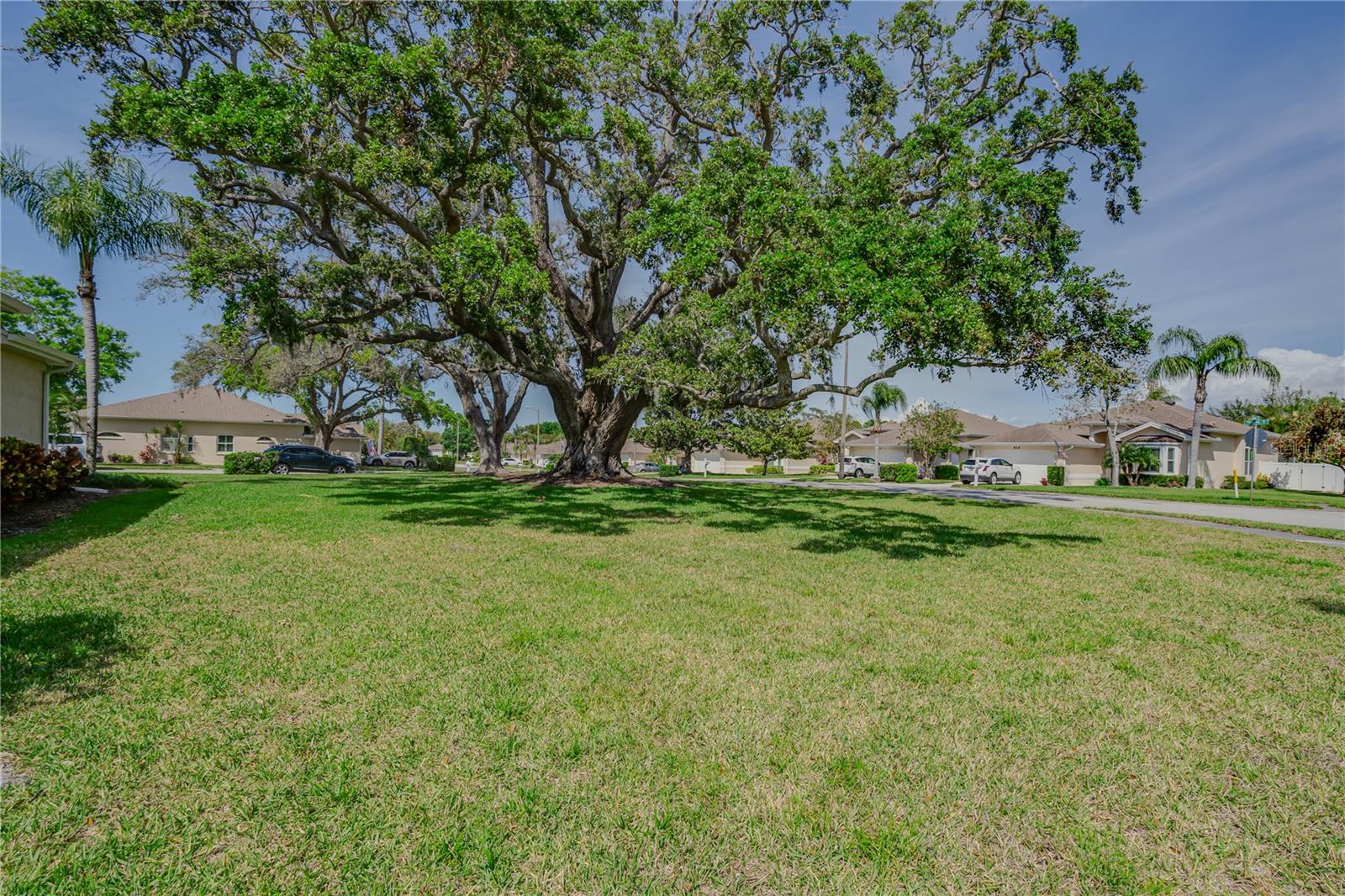 1129 HALEY LN, DUNEDIN, FL, 34698