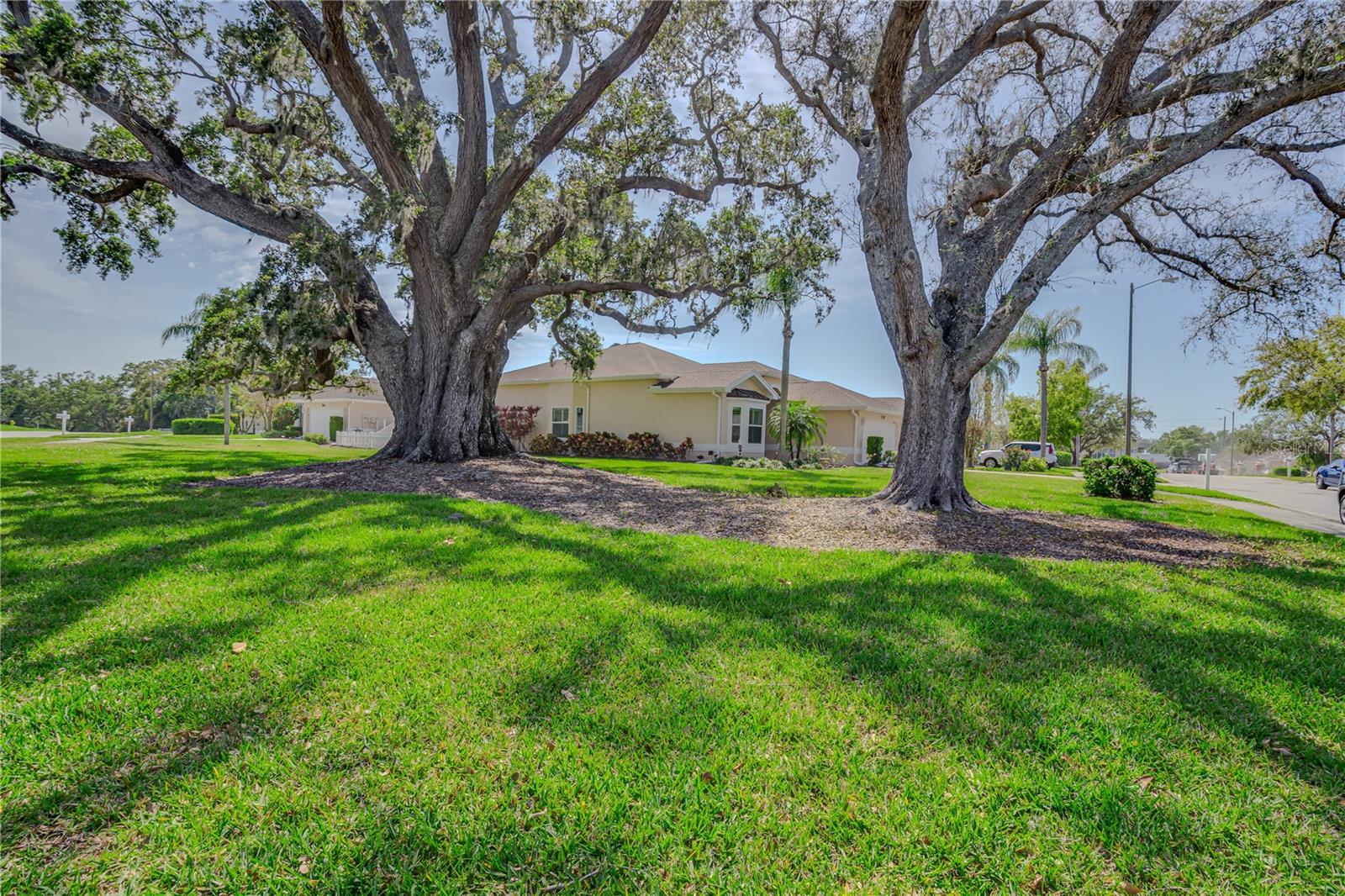 1129 HALEY LN, DUNEDIN, FL, 34698