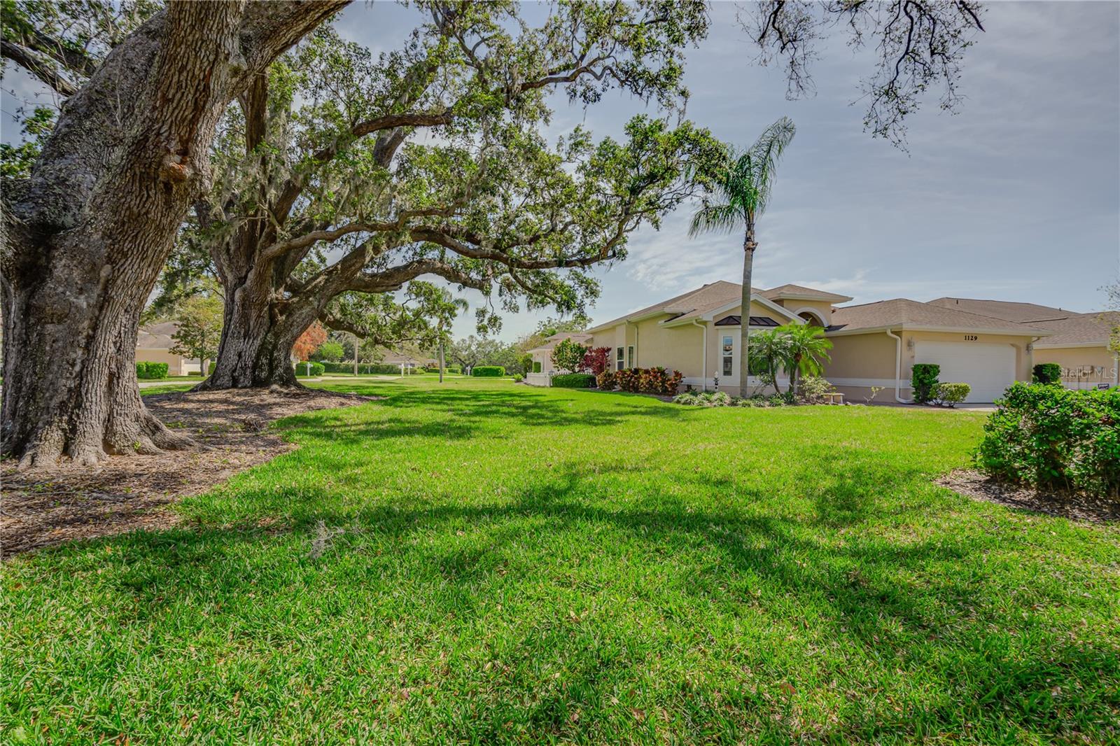 1129 HALEY LN, DUNEDIN, FL, 34698