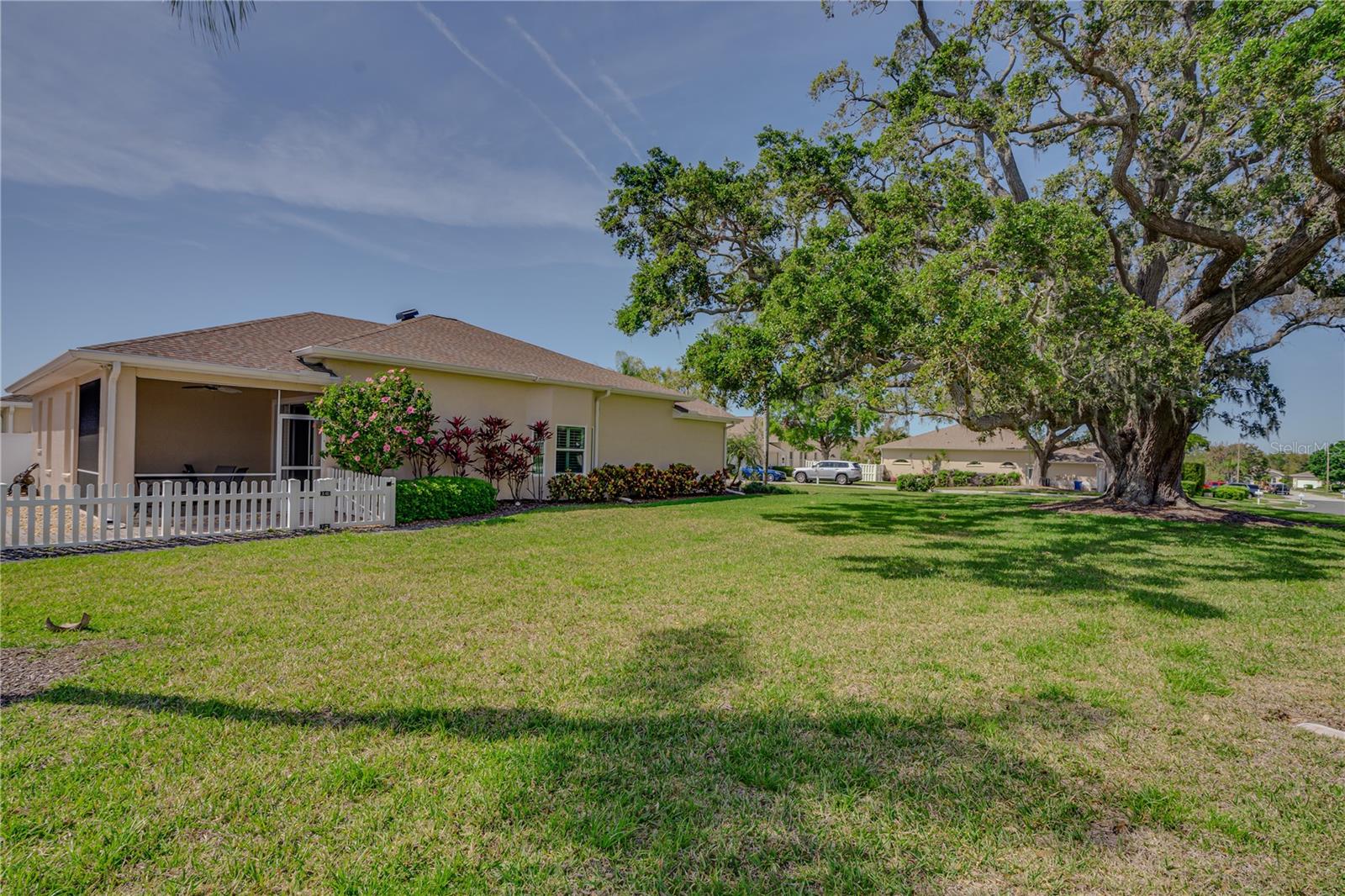 1129 HALEY LN, DUNEDIN, FL, 34698