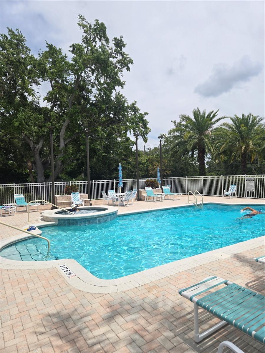 1129 HALEY LN, DUNEDIN, FL, 34698