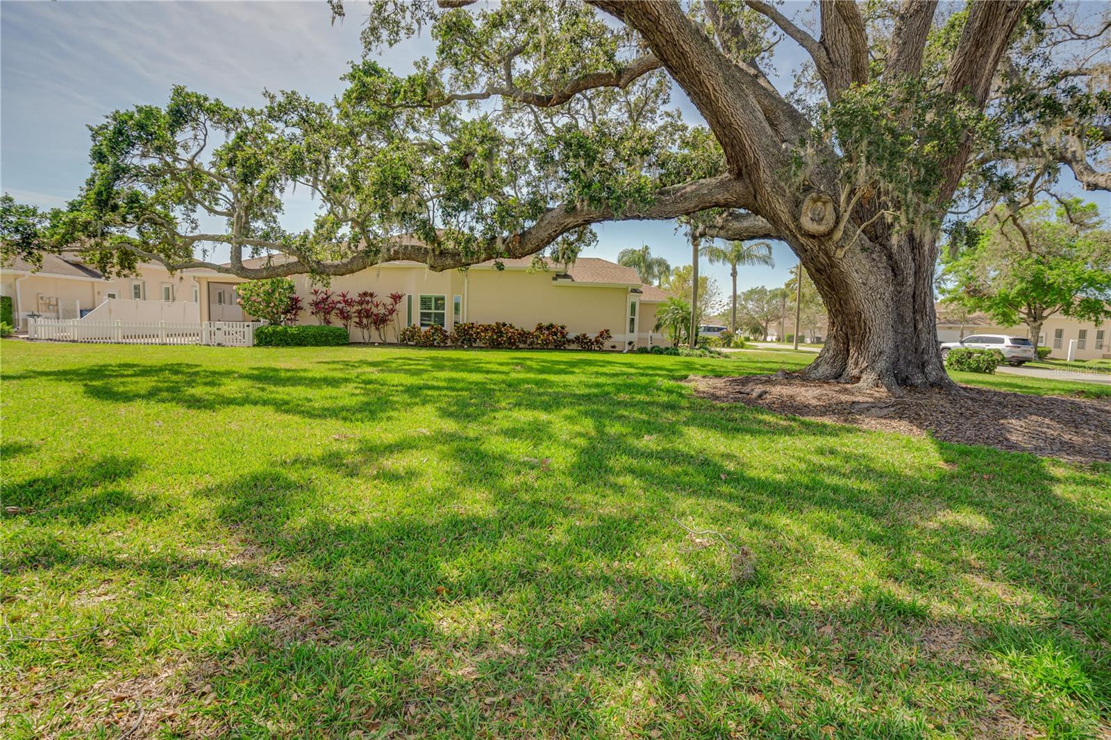1129 HALEY LN, DUNEDIN, FL, 34698