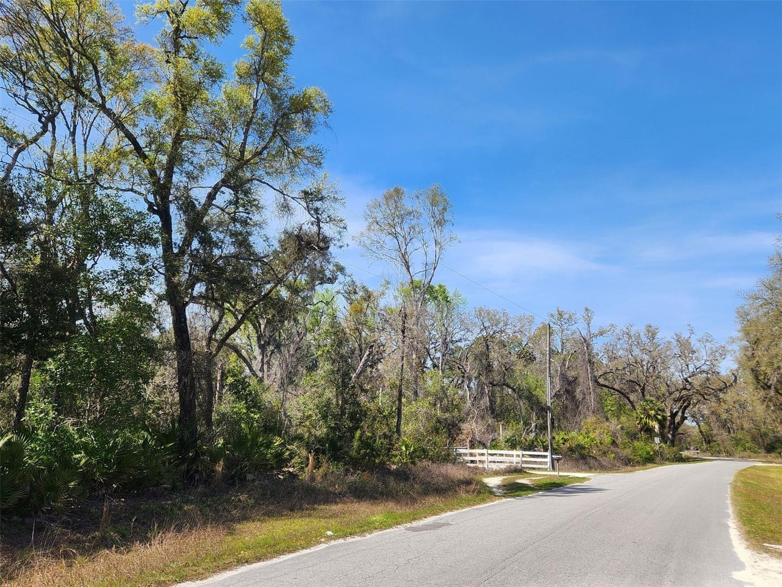 250 NE 544TH ST, OLD TOWN, FL, 32680