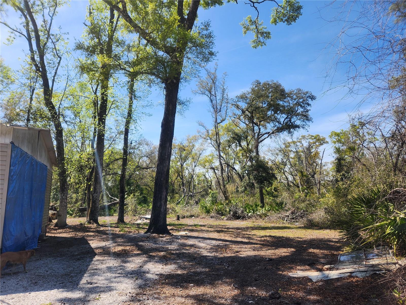 250 NE 544TH ST, OLD TOWN, FL, 32680