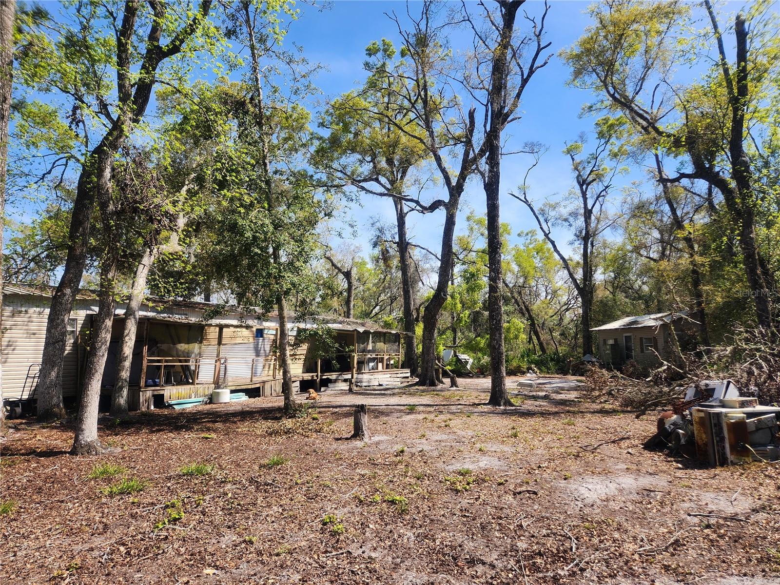 250 NE 544TH ST, OLD TOWN, FL, 32680