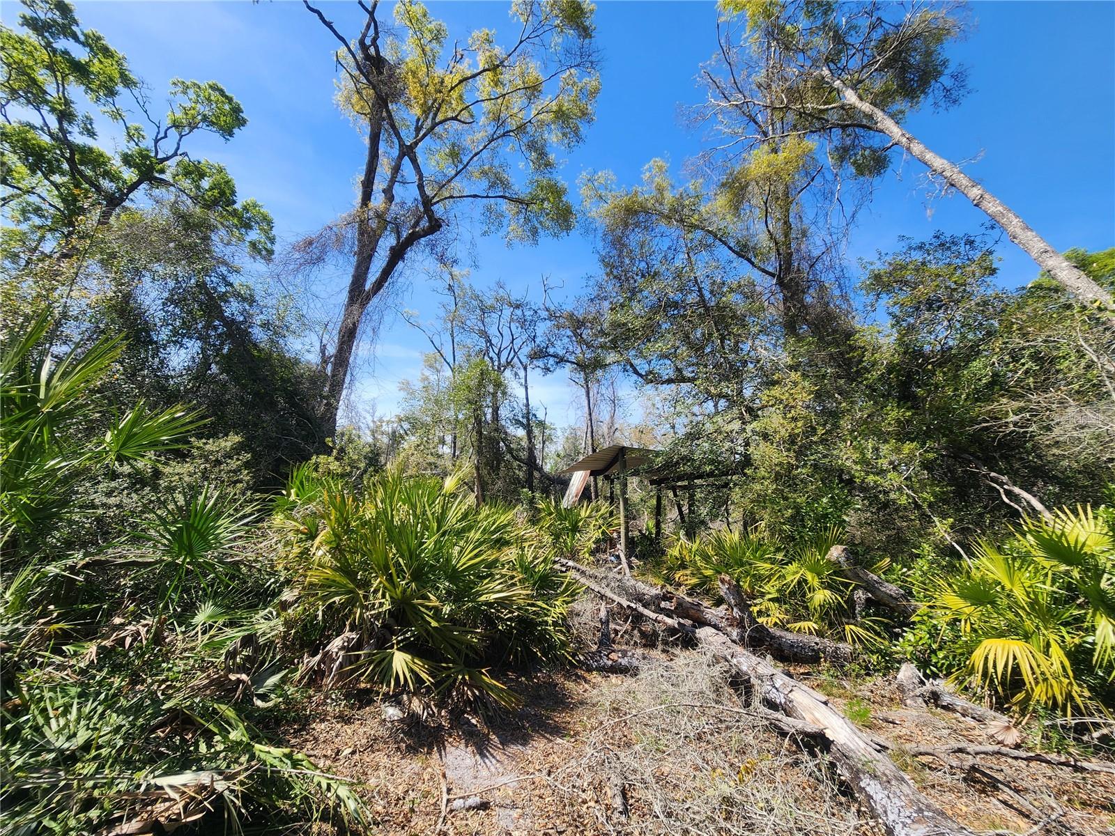 250 NE 544TH ST, OLD TOWN, FL, 32680