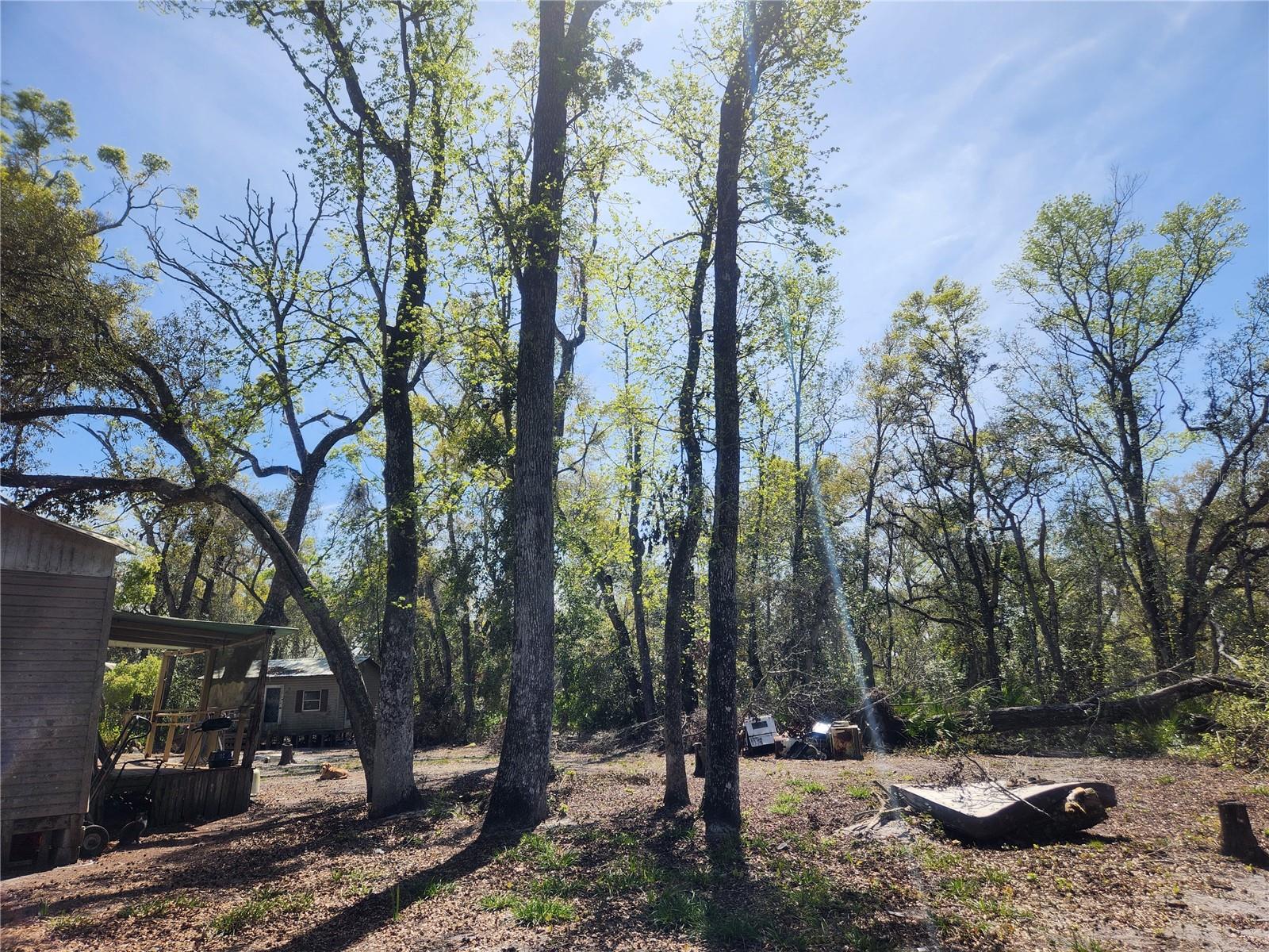 250 NE 544TH ST, OLD TOWN, FL, 32680