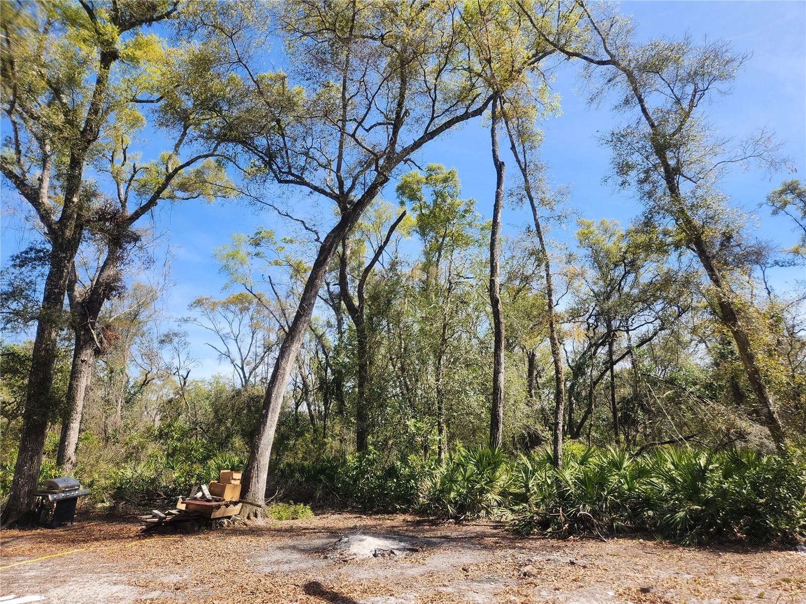 250 NE 544TH ST, OLD TOWN, FL, 32680