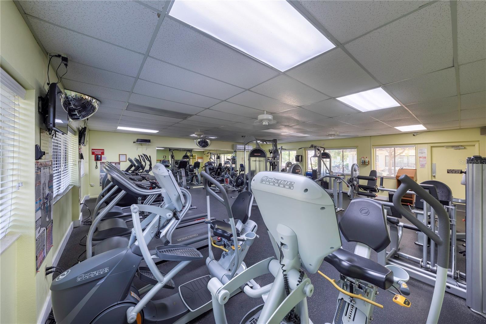 612 BIRD BAY DR S #311, VENICE, FL, 34285