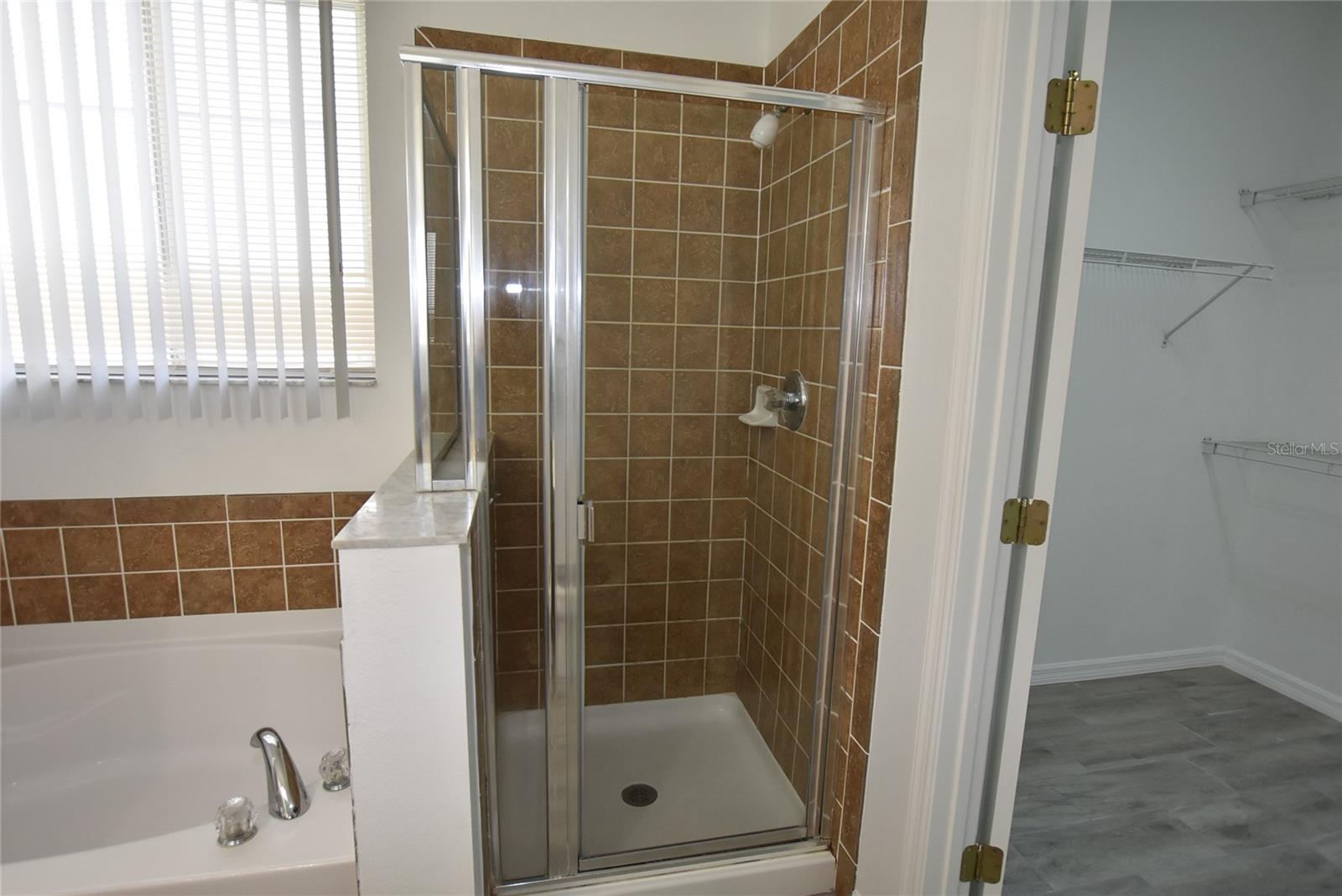 13887 CAROLINA LAUREL DR, ORLANDO, FL, 32828