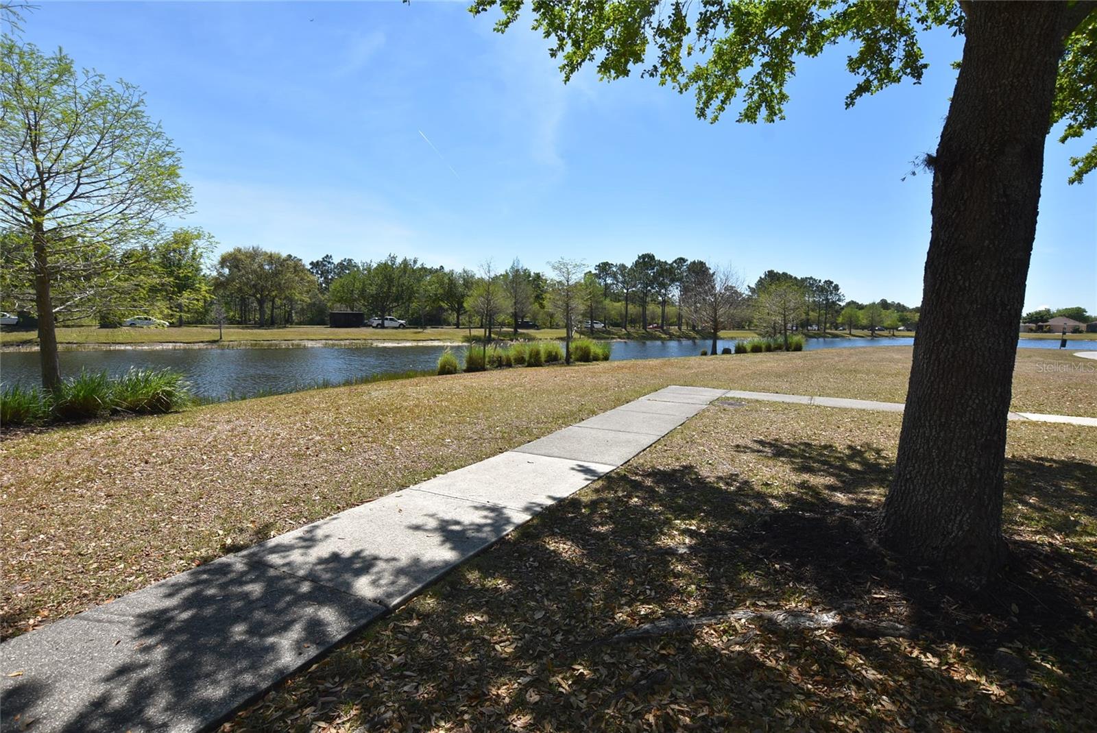13887 CAROLINA LAUREL DR, ORLANDO, FL, 32828
