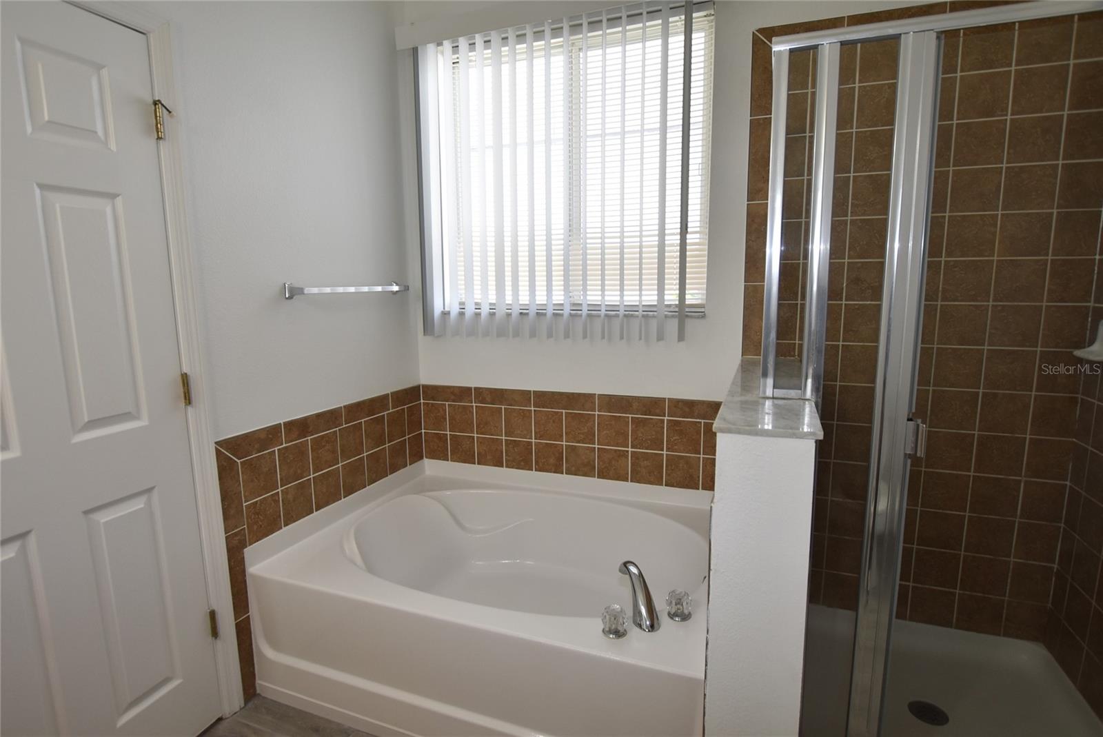 13887 CAROLINA LAUREL DR, ORLANDO, FL, 32828