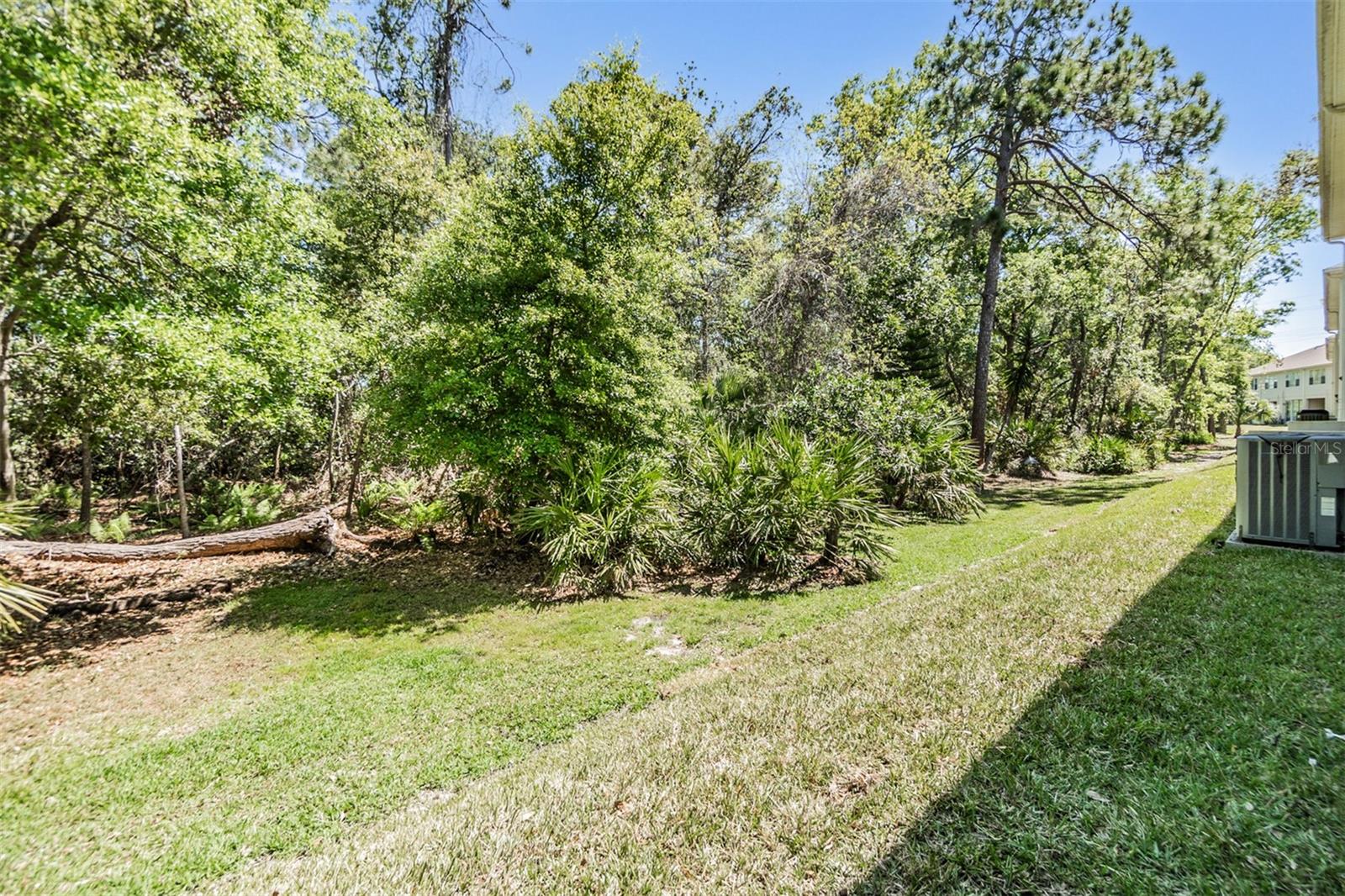 3621 COUNTRY POINTE PL, PALM HARBOR, FL, 34684