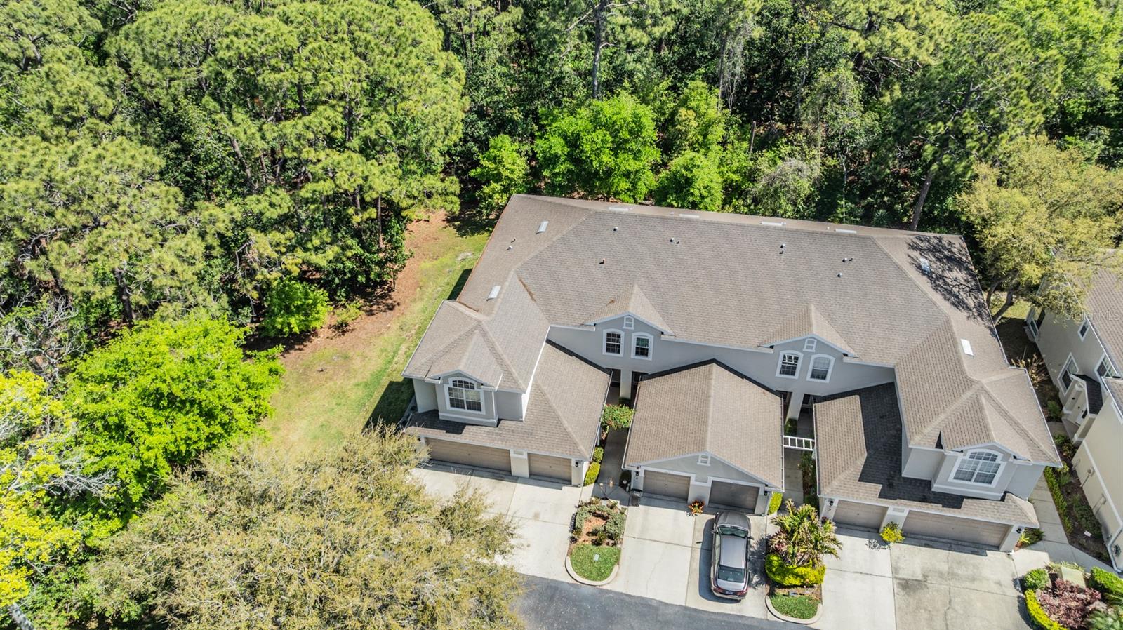 3621 COUNTRY POINTE PL, PALM HARBOR, FL, 34684
