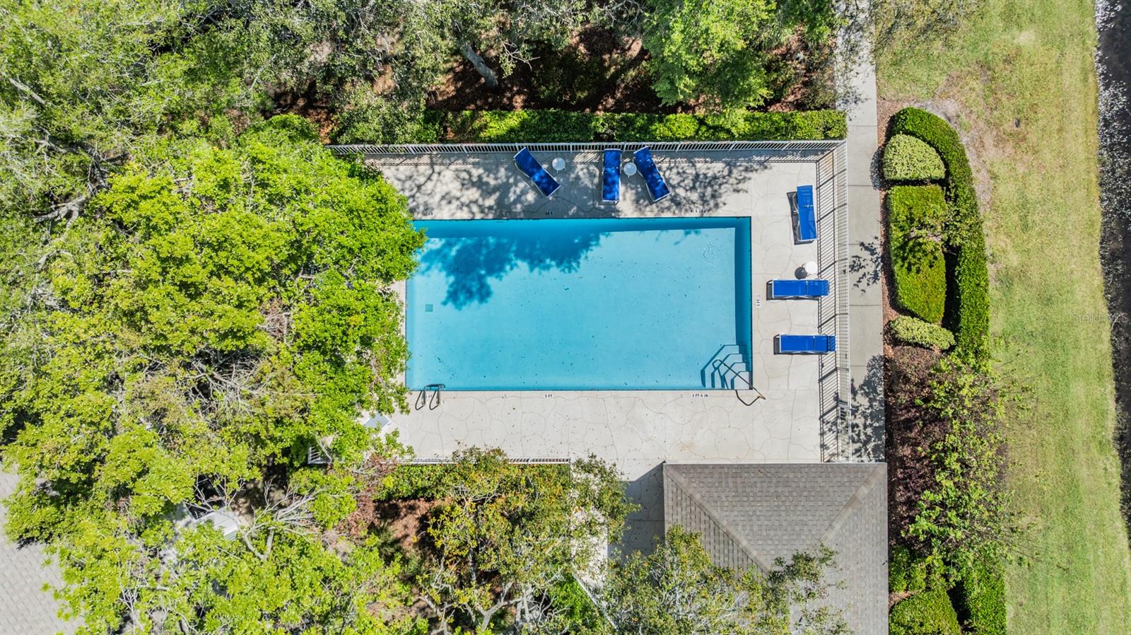3621 COUNTRY POINTE PL, PALM HARBOR, FL, 34684