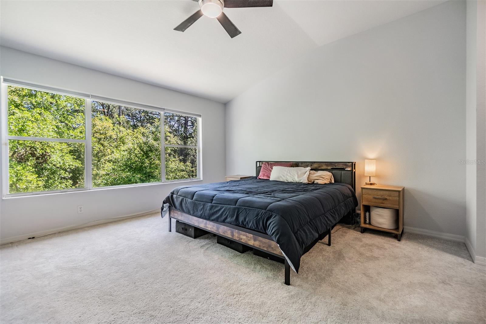 3621 COUNTRY POINTE PL, PALM HARBOR, FL, 34684
