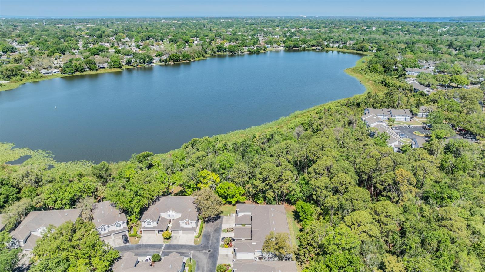 3621 COUNTRY POINTE PL, PALM HARBOR, FL, 34684