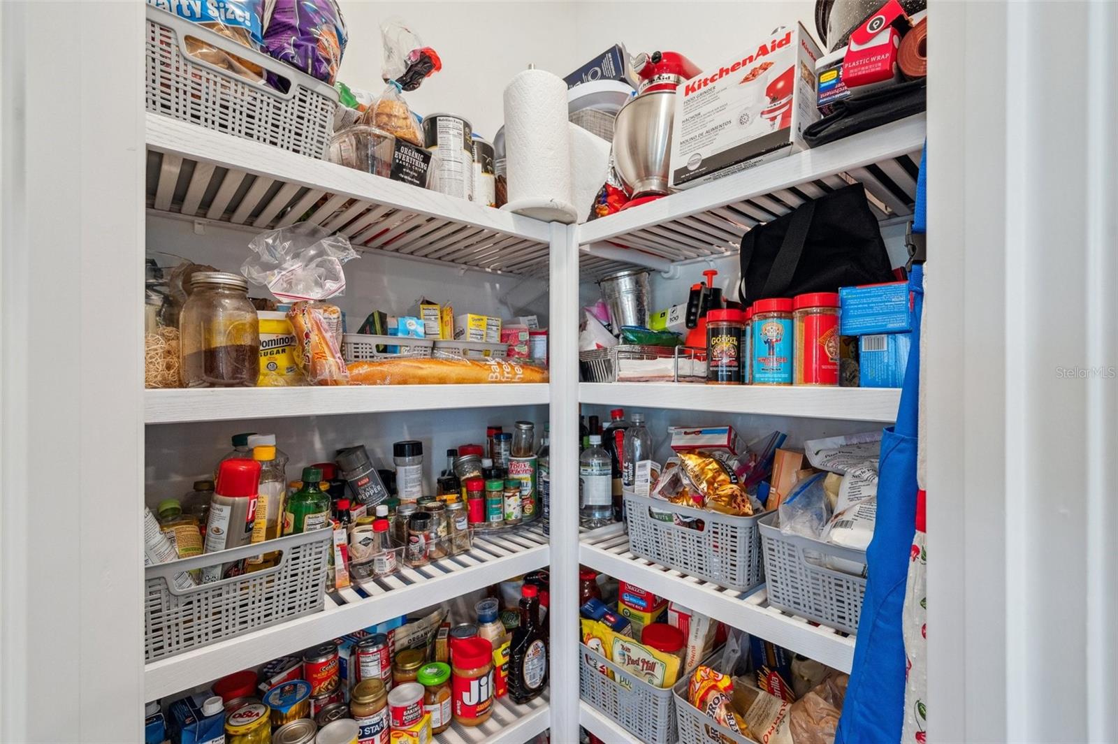 4593 SAN MARTINO DR, WESLEY CHAPEL, FL, 33543