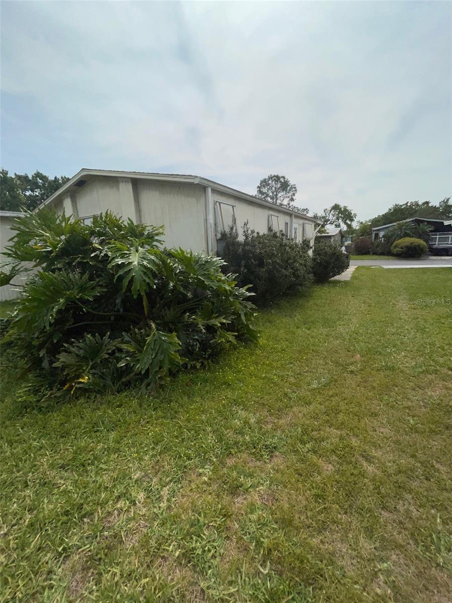 36037 COLEUS AVE, ZEPHYRHILLS, FL, 33541
