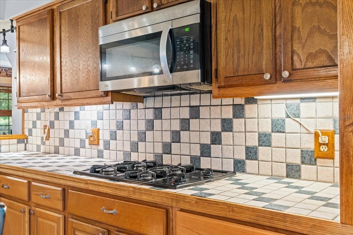 3919 NE 22ND AVE, OCALA, FL, 34479