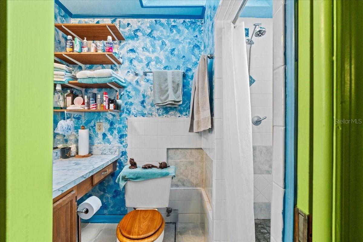 3919 NE 22ND AVE, OCALA, FL, 34479