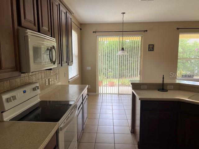559 HIAWATHA PALM PL, APOPKA, FL, 32712