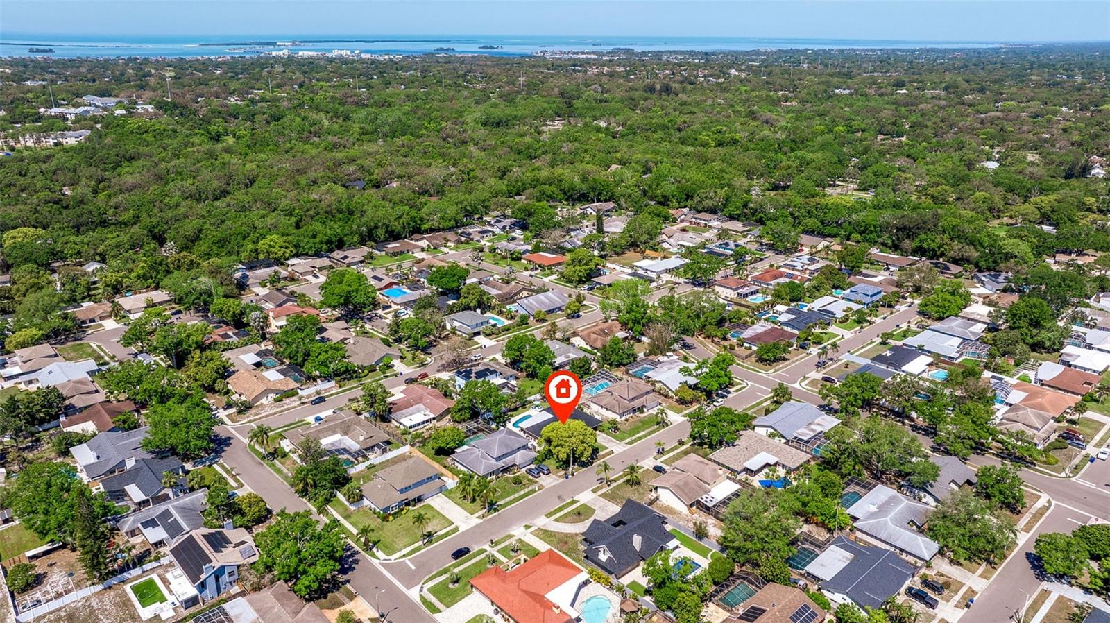 3138 FIESTA DR, DUNEDIN, FL, 34698