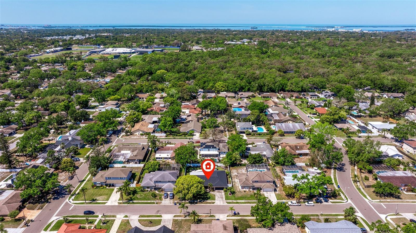 3138 FIESTA DR, DUNEDIN, FL, 34698