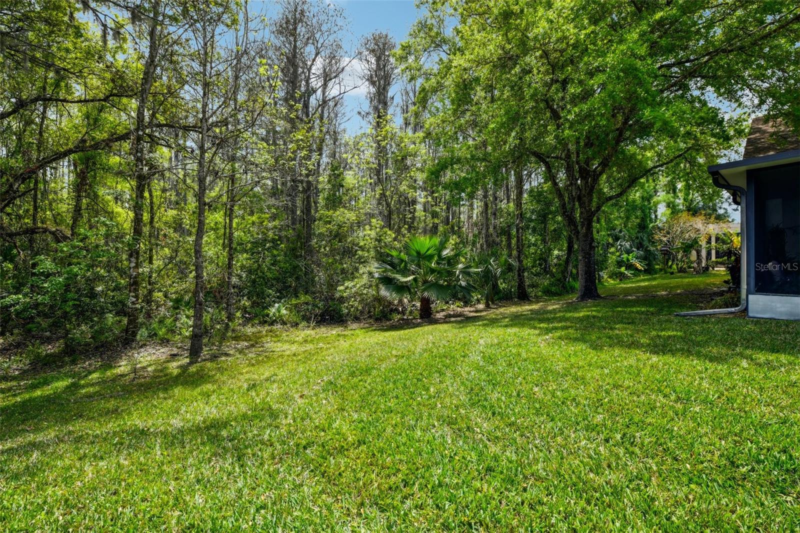 13638 PAYTONS WAY, ORLANDO, FL, 32828
