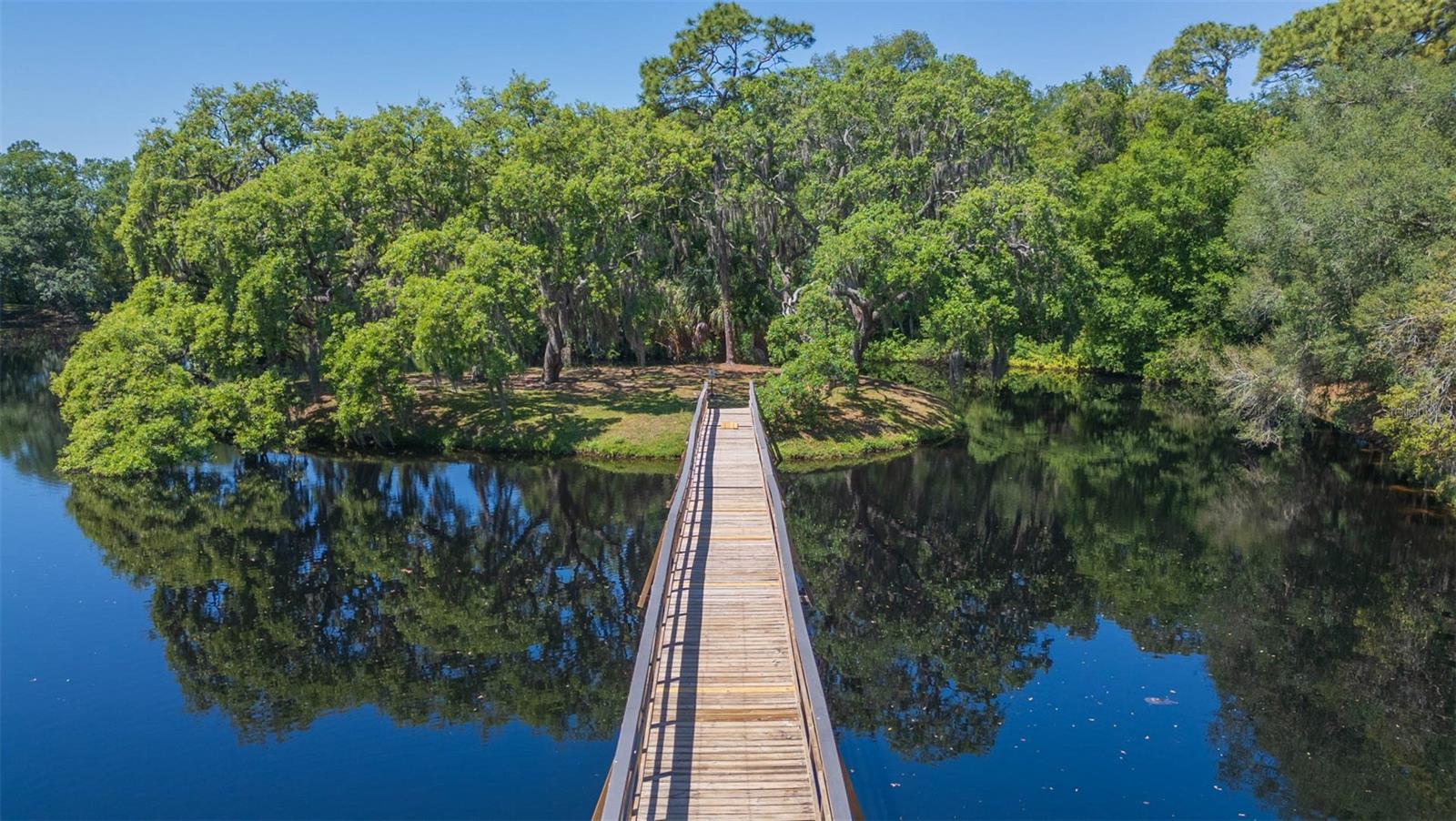 11868 SKYLAKE PL #11767, TEMPLE TERRACE, FL, 33617