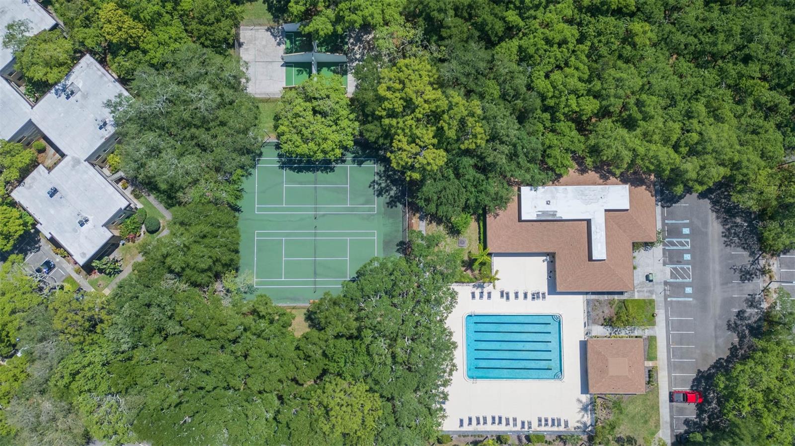 11868 SKYLAKE PL #11767, TEMPLE TERRACE, FL, 33617