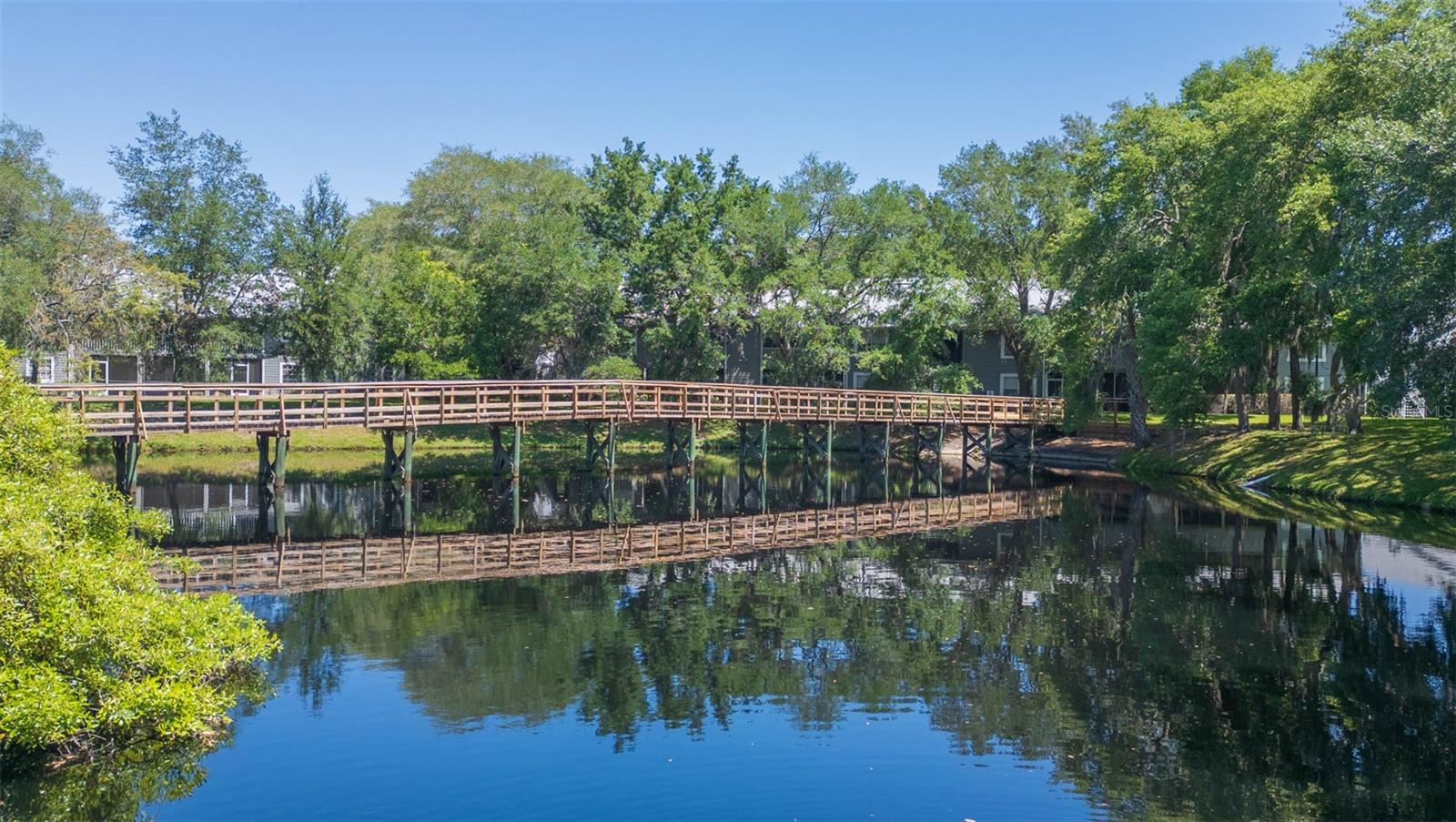 11868 SKYLAKE PL #11767, TEMPLE TERRACE, FL, 33617