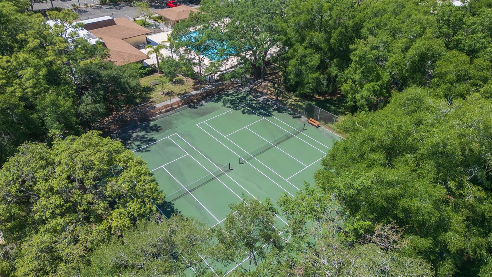 11868 SKYLAKE PL #11767, TEMPLE TERRACE, FL, 33617
