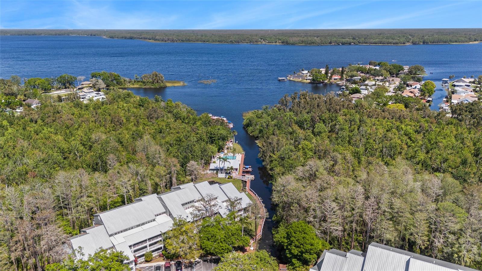 2599 DOLLY BAY DR #209, PALM HARBOR, FL, 34684