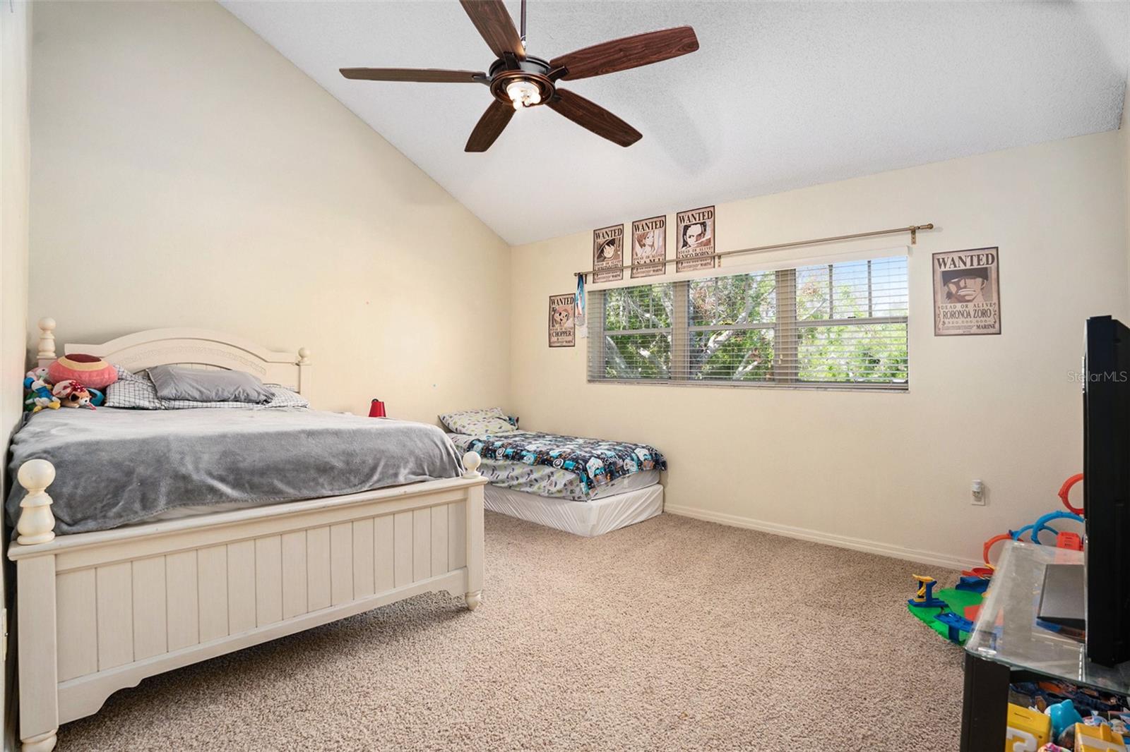 2599 DOLLY BAY DR #209, PALM HARBOR, FL, 34684