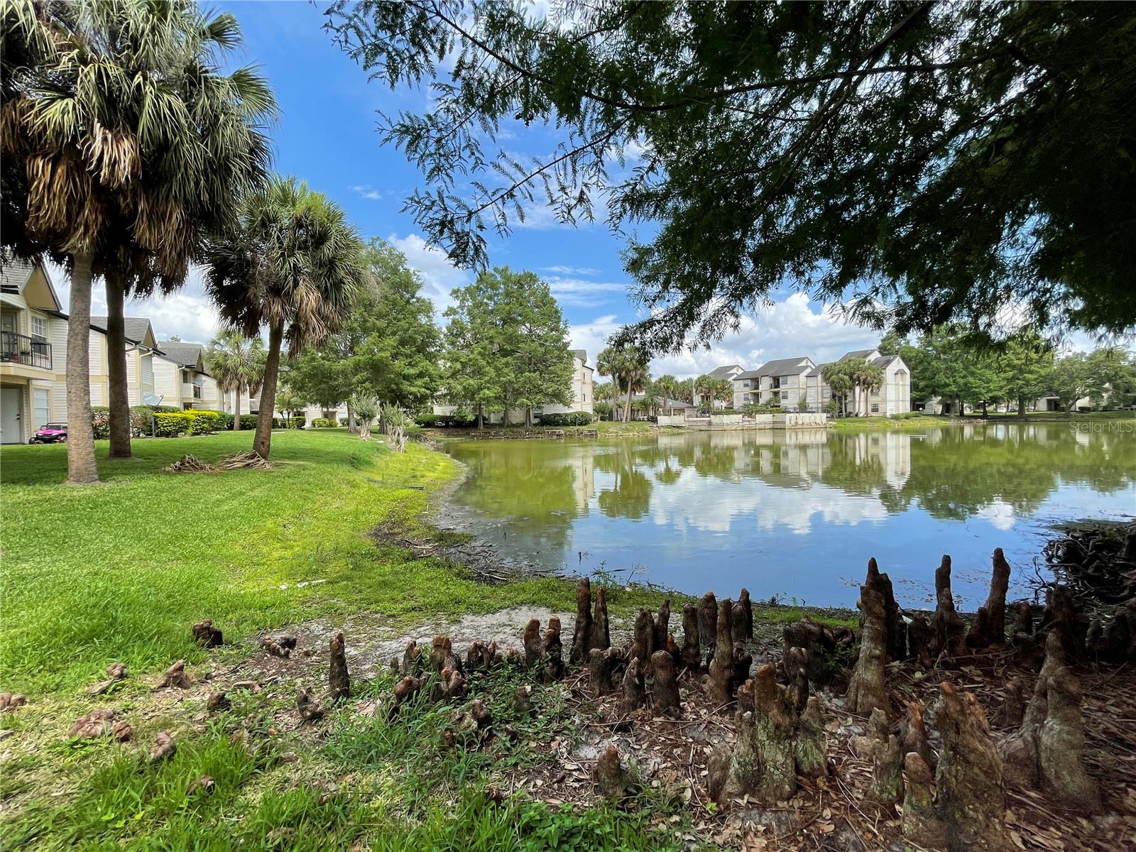 1908 LAKE ATRIUMS CIR #2, ORLANDO, FL, 32839