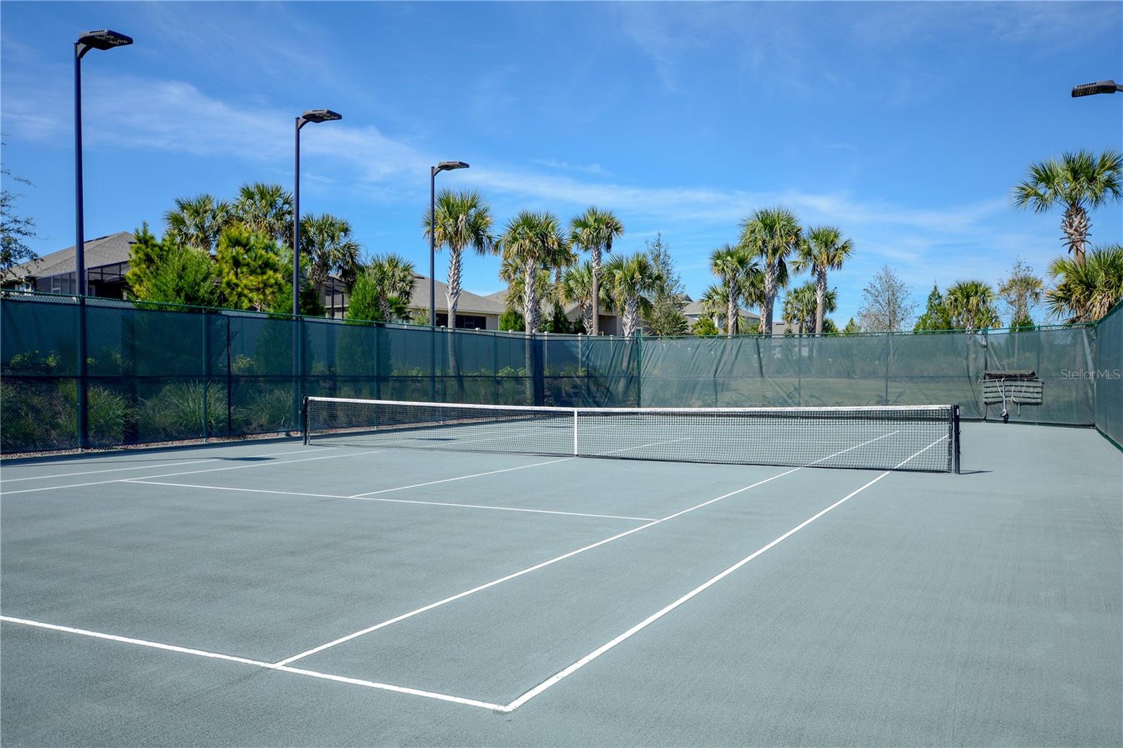 2539 STARGRASS CIR, CLERMONT, FL, 34715