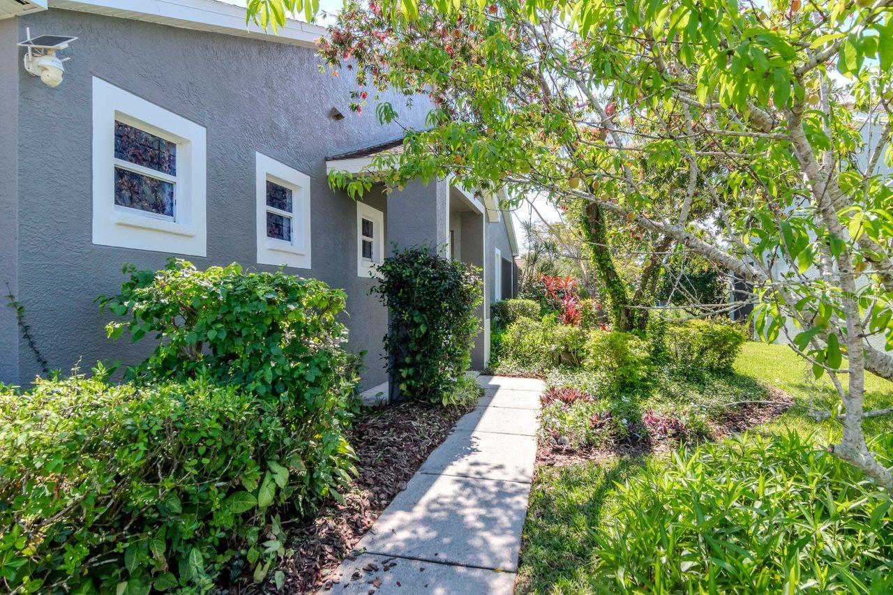7441 TROVITA RD, LAND O LAKES, FL, 34637