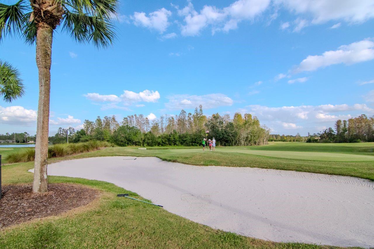 7441 TROVITA RD, LAND O LAKES, FL, 34637
