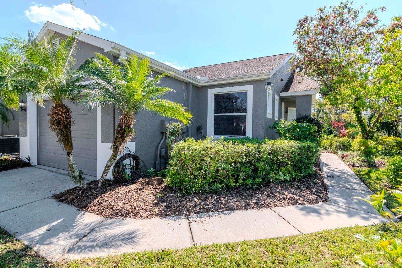 7441 TROVITA RD, LAND O LAKES, FL, 34637
