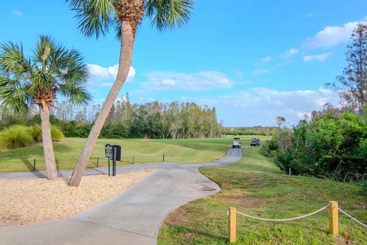 7441 TROVITA RD, LAND O LAKES, FL, 34637