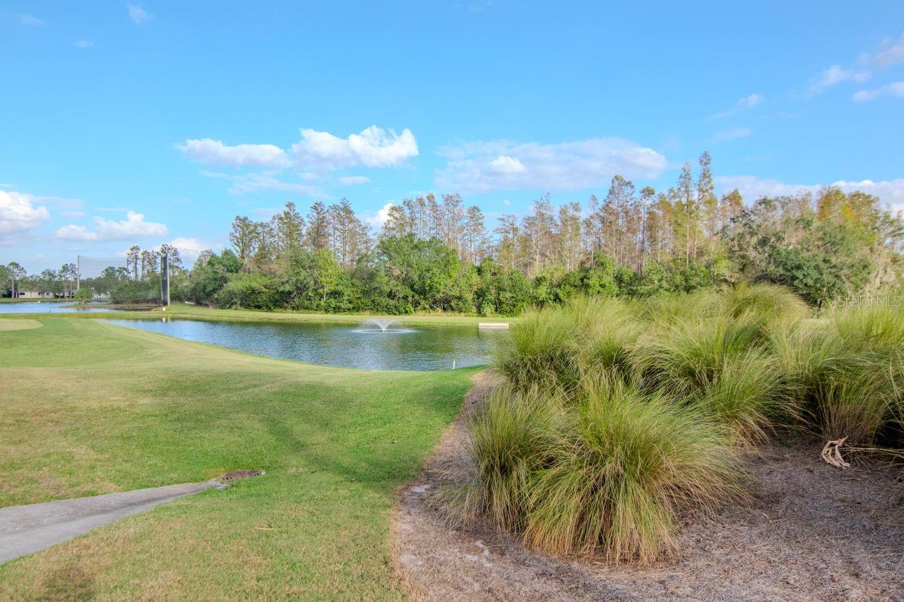7441 TROVITA RD, LAND O LAKES, FL, 34637