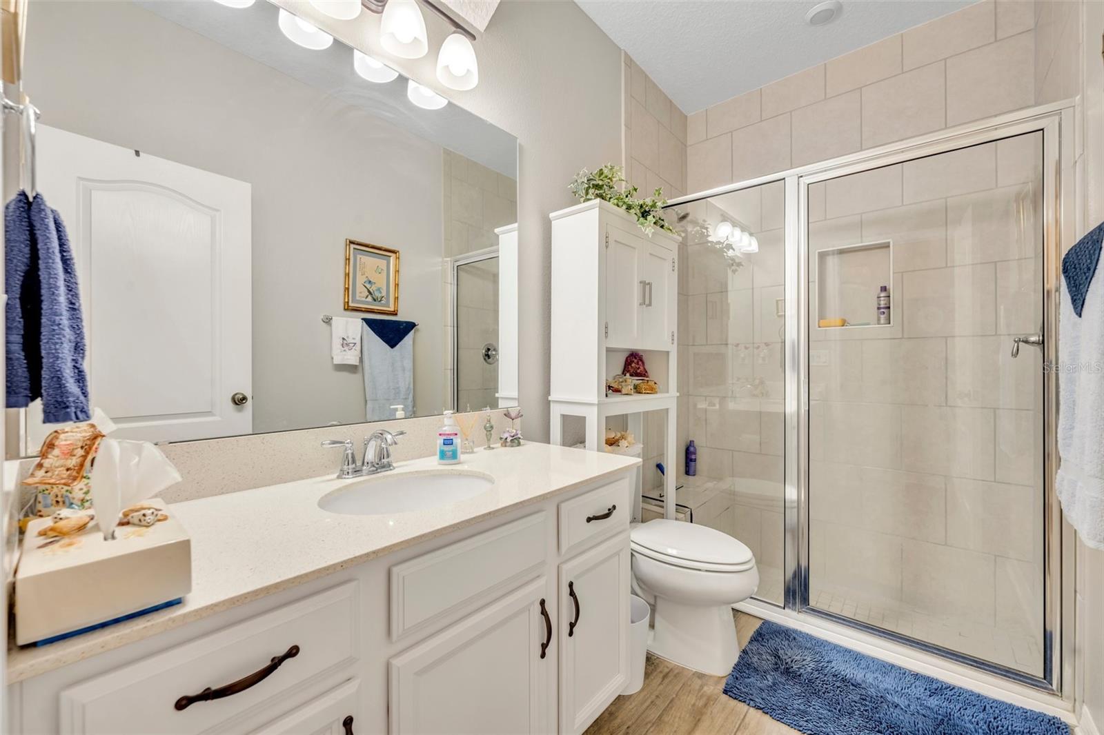 2367 SANTA VISTA LOOP, APOPKA, FL, 32703