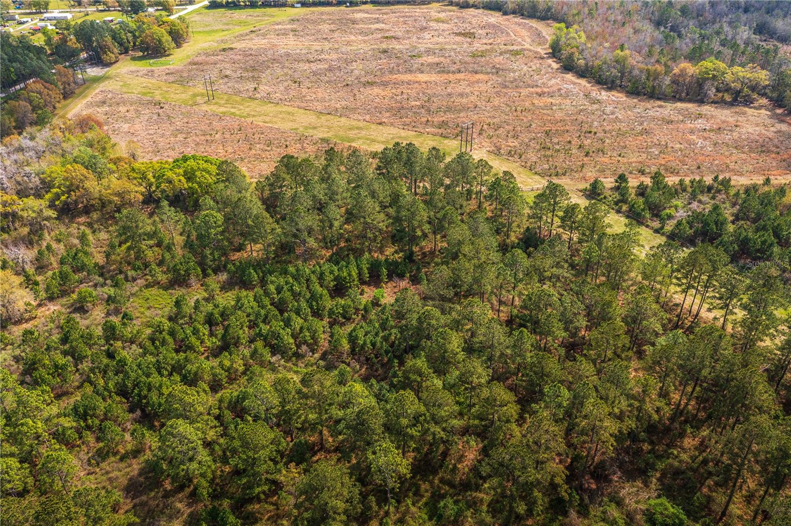 01 NW 185TH ST, STARKE, FL, 32091