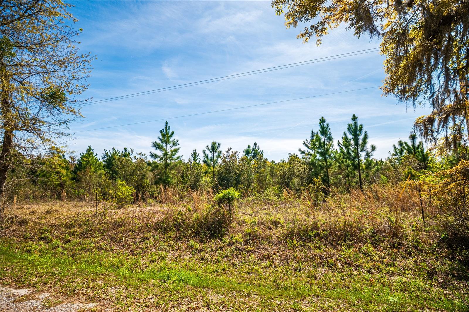 01 NW 185TH ST, STARKE, FL, 32091